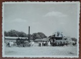 Fotografie, tarani la adunat fanul, in Romania, perioada interbelica