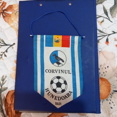 fanion Corvinul Hd. foto