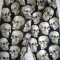 COLANTI DAMA CAP DE MORT CRANII COLANT PANTALON MULAT FEMEI SKULL