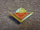 Insigna pionier - PIONIER FRUNTAS IN MUNCA PATRIOTICA CL 2-a VARIANTA MICA 3X2.2 cm