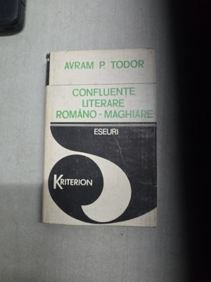 Confluențe literare rom&amp;acirc;no-maghiare - Avram P. Todor foto