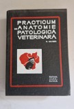 Practicum de anatomie patologica veterinara - V. Ciurea