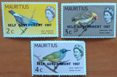 MAURITIUS- &amp;#039;&amp;#039;FAUNA-PESTI-EXOTICI&amp;#039;&amp;#039; &amp;#039;&amp;#039;-Set de 3v.-MNH=Nestamp. foto