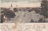 CP BUZIAS BUZIASFURDO PANORAMA ND(1906), Circulata, Fotografie