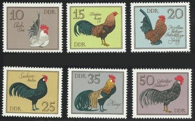 C5454 - Germania Democrata 1979 - Pasari 6v.nestampilate MNH foto
