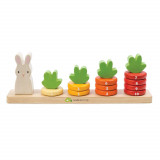 Jucarie din lemn - Counting Carrots | Tender Leaf Toys