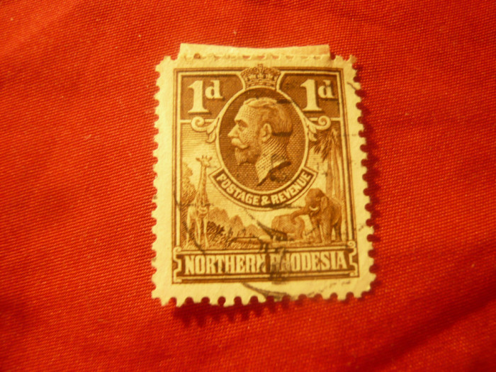 Timbru Northern Rhodesia 1925 , Rege George V stampilat ,val.1p