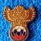Insigna fotbal - Federatia de fotbal din RUSIA