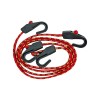Cordelina elastica, 80cm, 2 buc Vorel 82360