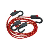 Cordelina elastica, 80cm, 2 buc Vorel 82360