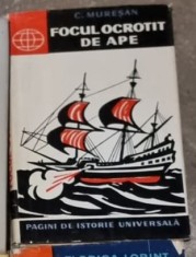 Camil Muresan - Focul Ocrotit de Ape foto