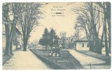 4193 - BOCSA MONTANA, Caras Severin, Sanatorium Park, Romania - old postcard - used - 1910