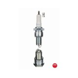 Bujie Abarth Ritmo; Alfa Romeo 155; Audi 80 B2; Austin Maestro Fastback; Autobianchi A 112; Fiat 126; Ford Capri III; Lancia A 112; Lotus Excel;
