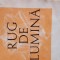 Rug de lumina Anca Nicolau 1987