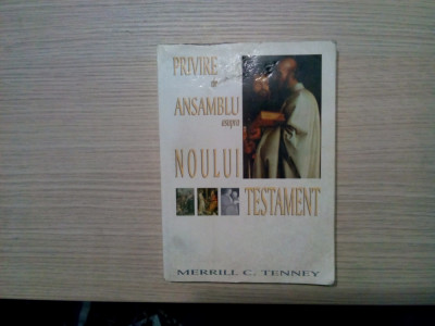 PRIVIRE DE ANSAMBLU ASUPRA NOULUI TESTAMENT - Merrill C. Tenney - 1998, 394 p. foto