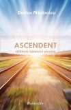 Ascendent, călătoria băiatului anonim - Paperback brosat - Denisa Măcărescu - Bestseller