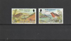 Fauna ,pasarele,Craciun 1980 ,Man.