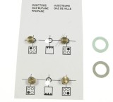 G30-30 INJECTOR GR ( LPG ) 4431900115 pentru aragaz, cuptor, plita ARCELIK / BEKO