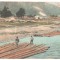 SV * Piatra Neamt * PLUTE PE RAUL BISTRITA * 1922 * Fabrica de Cherestea