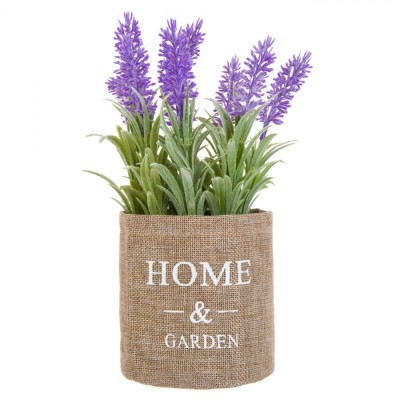 Ghiveci Decorativ, Model Lavanda, Culoare Mov, Dimensiuni 11x25 cm foto