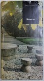 BRANCUSI - SES RACINES ROUMAINES par DAN GRIGORESCU , EDITIE IN FRANCEZA , 1984