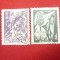 Serie Anul Nou 1950 Angola -Colonie Portugheza , 2 val. stampilate