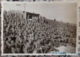 Soldati romani pe front, Crimeea 1942// fotografie