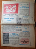 Magazin 1 aprilie 1978, Nicolae Iorga
