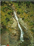 CPIB 16576 CARTE POSTALA - CALIMANESTI. CASCADA DE PE LOTRISOR, Circulata, Fotografie