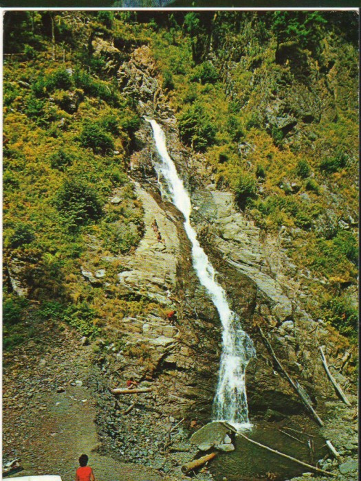 CPIB 16576 CARTE POSTALA - CALIMANESTI. CASCADA DE PE LOTRISOR