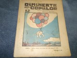 REVISTA DIMINEATA COPIILOR NR 12 1924