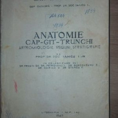 Anatomie cap, git, trunchi- Iancu Ion, Iancu Ion, Frasin Gh.