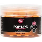 Pop Up Mainline Hi-visual Baits, Fluo Orange, Scopex &amp; Blackcurrant, 12mm, 250ml