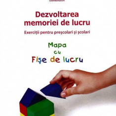 Dezvoltarea memoriei de lucru. Exerciţii pentru preşcolari şi şcolari (Mapa cu Fişe de lucru) - Paperback brosat - Laura Visu-Petra, Lavinia Cheie - A