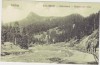 CP Colibita Valea Bistritii 1928, Circulata, Fotografie, Bistrita-Nasaud