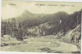CP Colibita Valea Bistritii 1928, Circulata, Fotografie, Bistrita-Nasaud