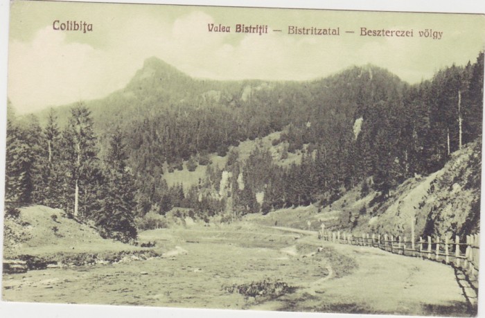 CP Colibita Valea Bistritii 1928