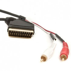 CABLU SCART TATA - 2RCA TATA GOLD 10M Util ProCasa foto