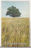 Bnk cld Calendar de buzunar - 1983 - URSS- Les Nouvelles d e Moscou