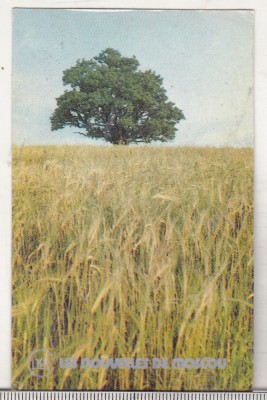 bnk cld Calendar de buzunar - 1983 - URSS- Les Nouvelles d e Moscou foto