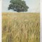 bnk cld Calendar de buzunar - 1983 - URSS- Les Nouvelles d e Moscou