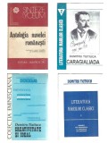 Cumpara ieftin Pachet 4 carti Dumitru Tiutiuca - critica literara A