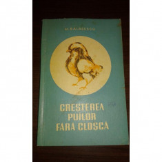 CRESTEREA PUILOR FARA CLOSCA, M. BALASESCU foto