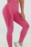 J719-58 Colanti fitness cu talie inalta si model inserat, M, S/M