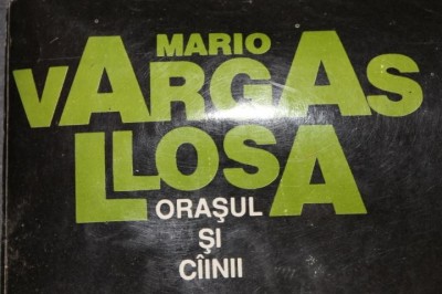 ORASUL SI CAINII foto
