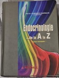 Endocrinologie ...de la A la Z