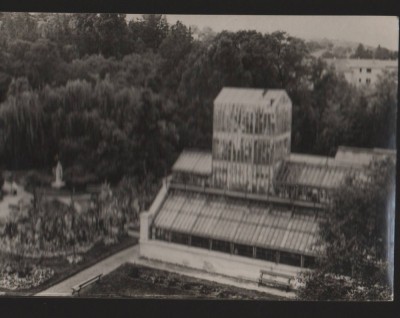 CPI B13637 CARTE POSTALA - CLUJ - GRADINA BOTANICA, SERA PALMIERILOR, RPR foto