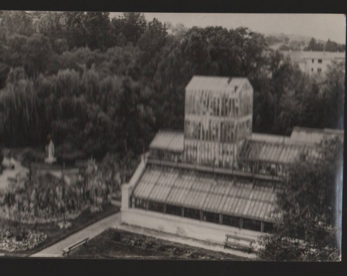 CPI B13637 CARTE POSTALA - CLUJ - GRADINA BOTANICA, SERA PALMIERILOR, RPR
