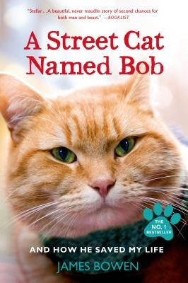 A Street Cat Named Bob and How He Saved My Life foto