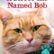A Street Cat Named Bob and How He Saved My Life